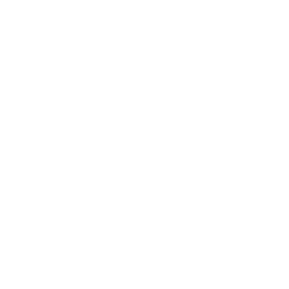 Noir Phase Logo